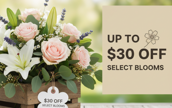 SAVE BIG ON BLOOMS