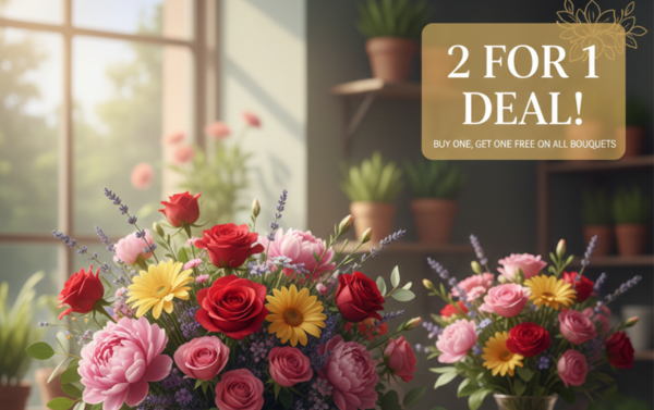 DEAL OF THE DAY