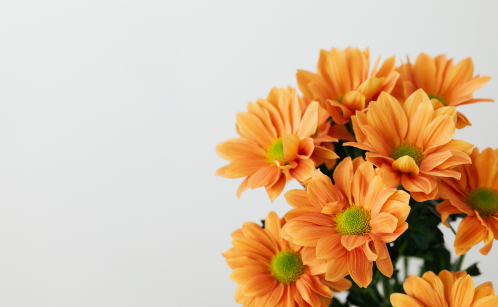 5 Compelling Reasons to Order Early for the Best Valentine’s Day Gifts
