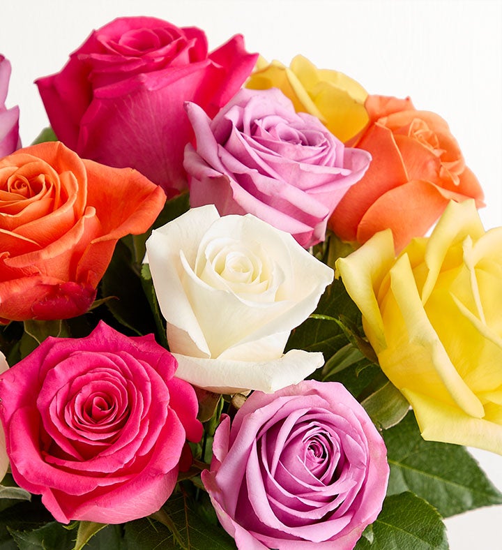 Two Dozen Assorted Roses