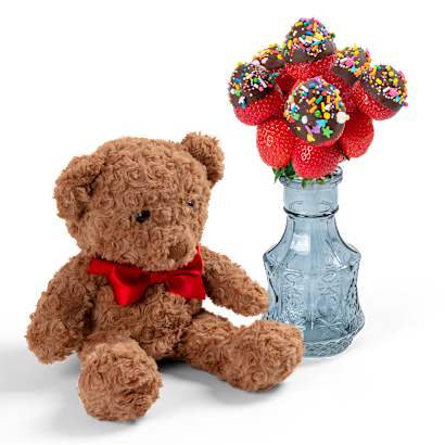 Teddy & Tasty Treats Bundle